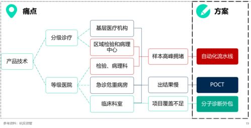 深度透視IVD行業(yè) 典型樣本、發(fā)展規(guī)律、趨勢與網(wǎng)絡(luò)信息安全軟件開發(fā)